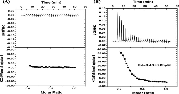 FIG 5