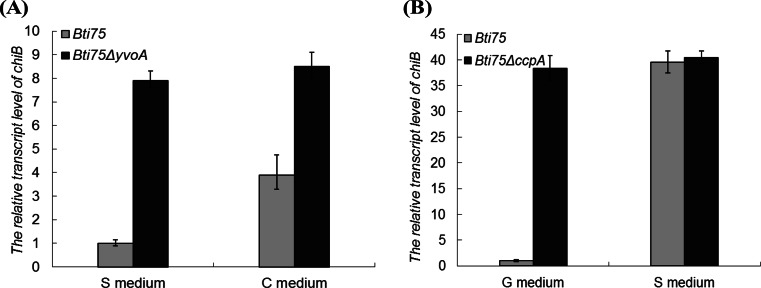 FIG 6