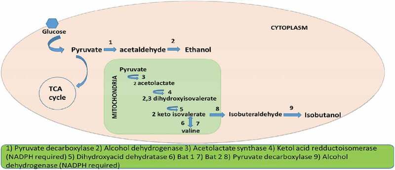 Figure 2.