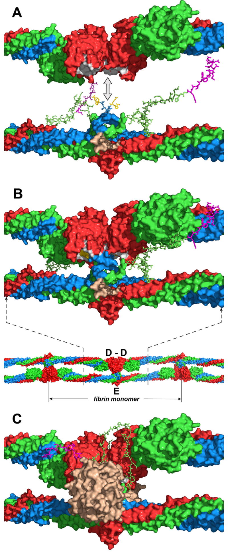 Fig. 6