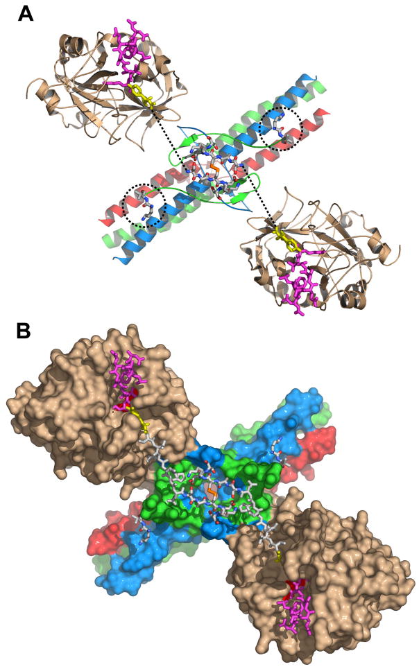 Fig. 2