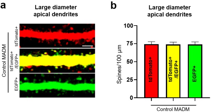 Figure 6—figure supplement 1.