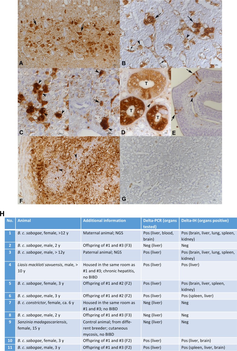 FIG 2