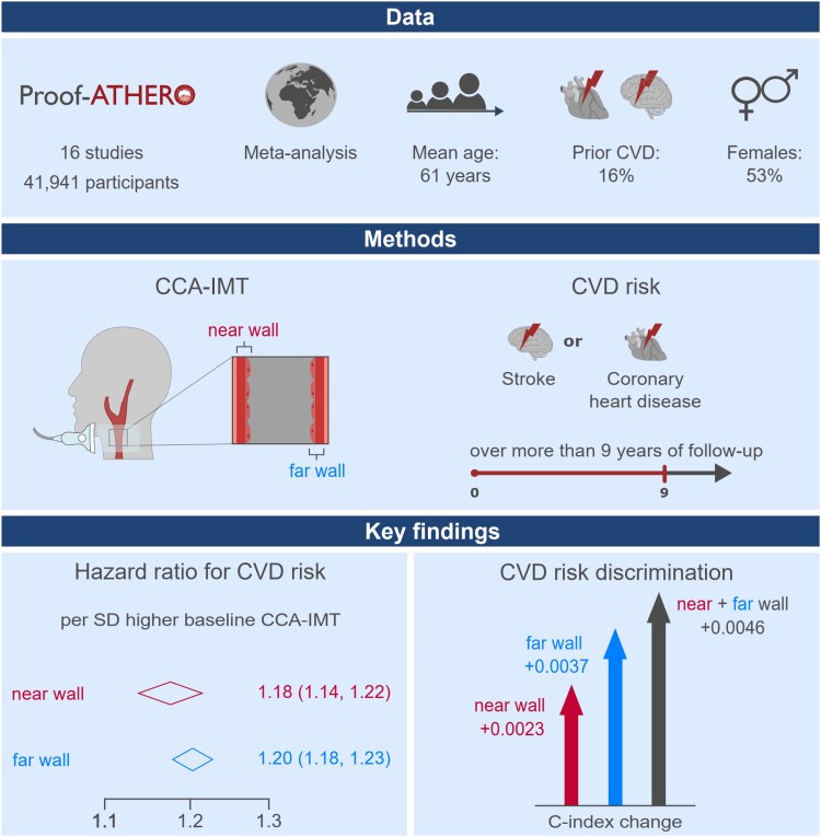 Graphical Abstract