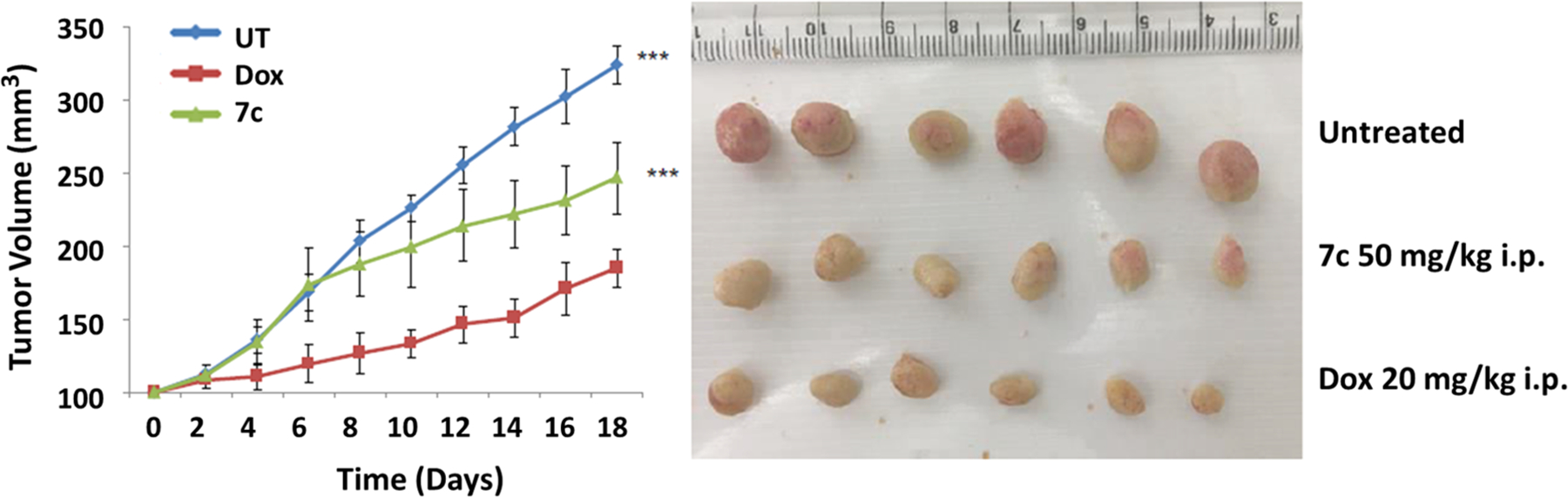 Figure 11.