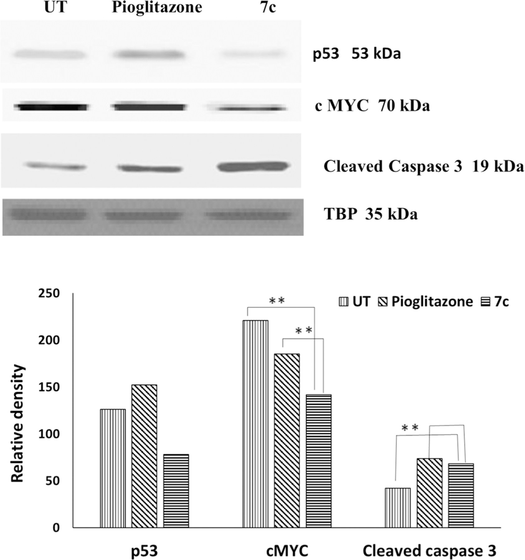 Figure 10.