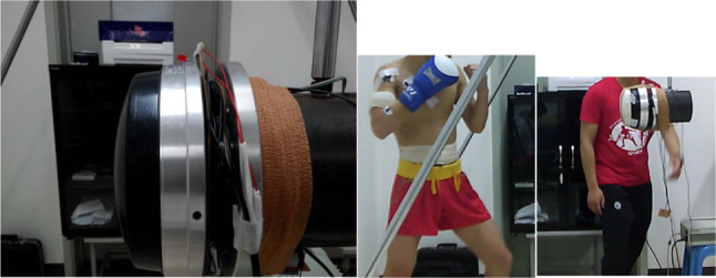 Fig. 1