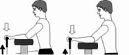 graphic file with name 41598_2025_96264_Figa_HTML.gif