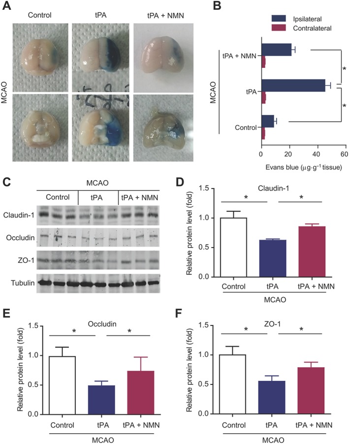 Figure 6