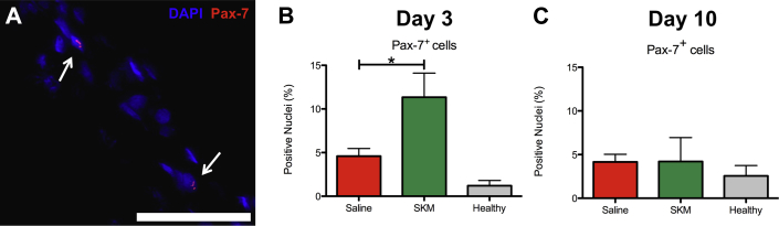 Figure 6