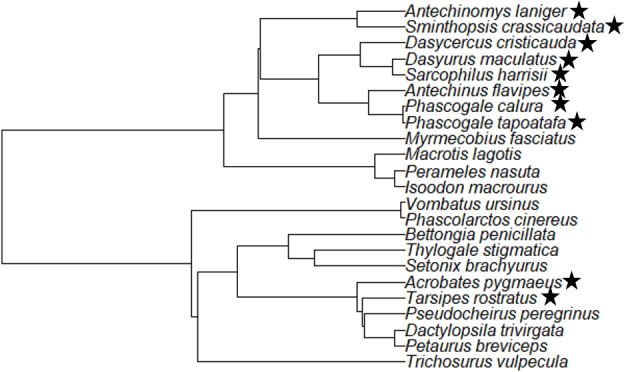 FIGURE 2