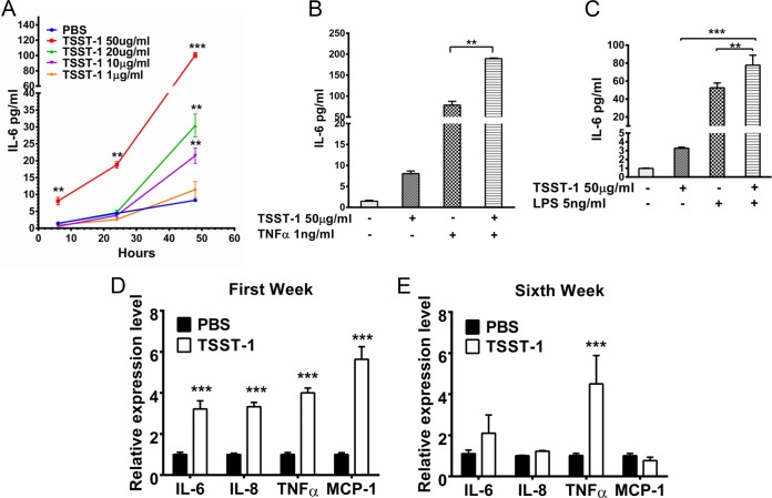 FIG 4 