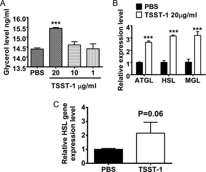 FIG 6 