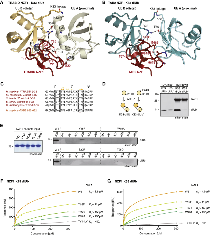 Figure 6