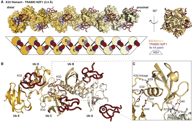 Figure 5