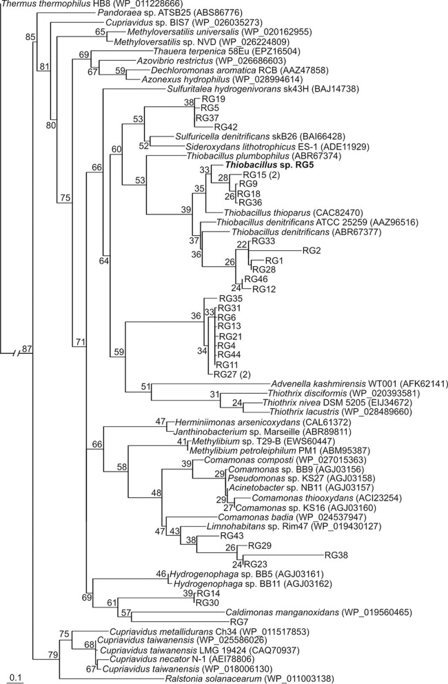 FIG 1