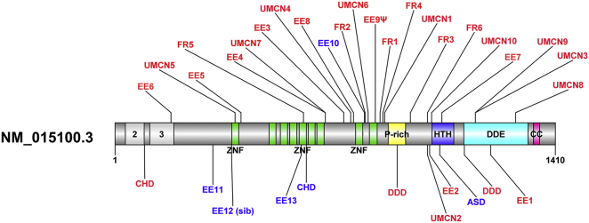 Figure 1