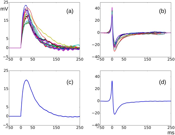 Fig 11