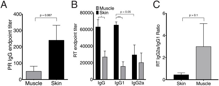 Fig 5