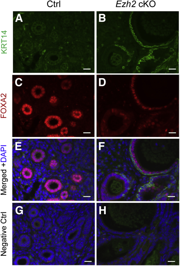 Figure 5