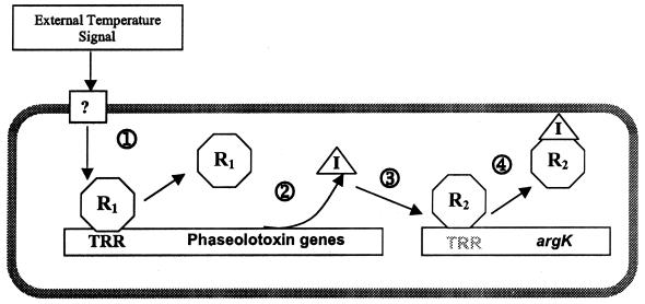 FIG. 7.