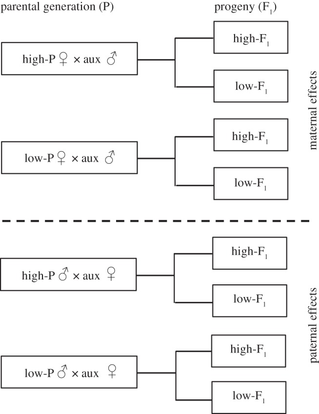 Figure 1.