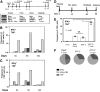 <b>FIG. 2.</b>