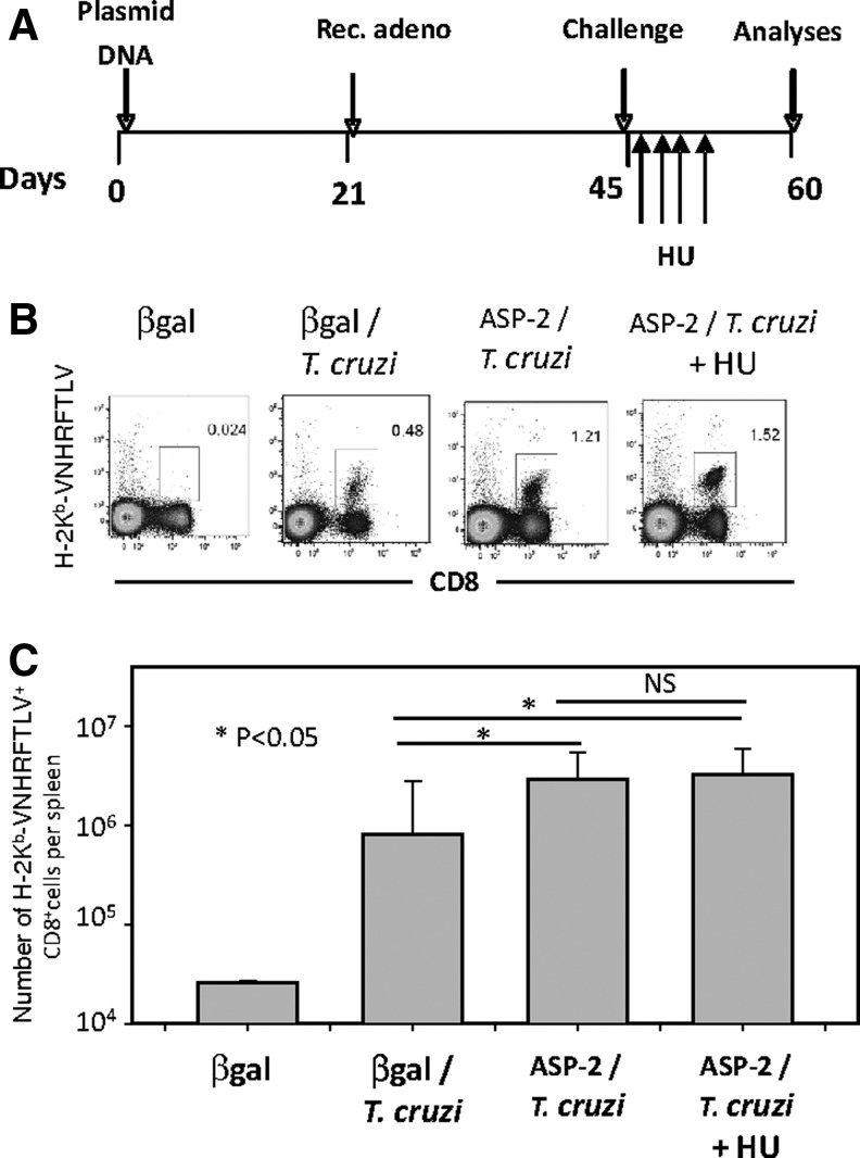 FIG. 6.