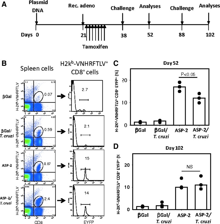 FIG. 4.