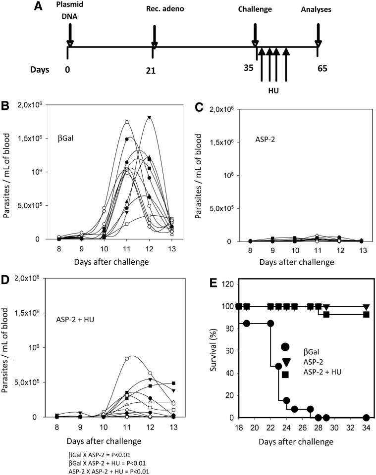 FIG. 7.