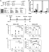 <b>FIG. 1.</b>