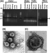 FIG 1