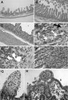 FIG 3