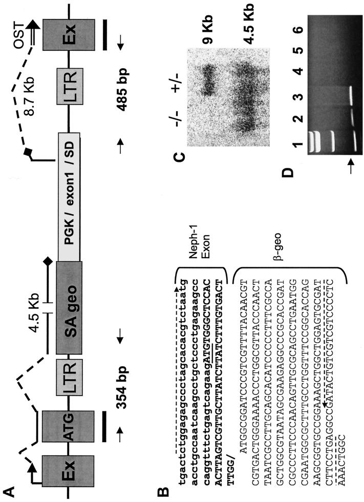 FIG. 3