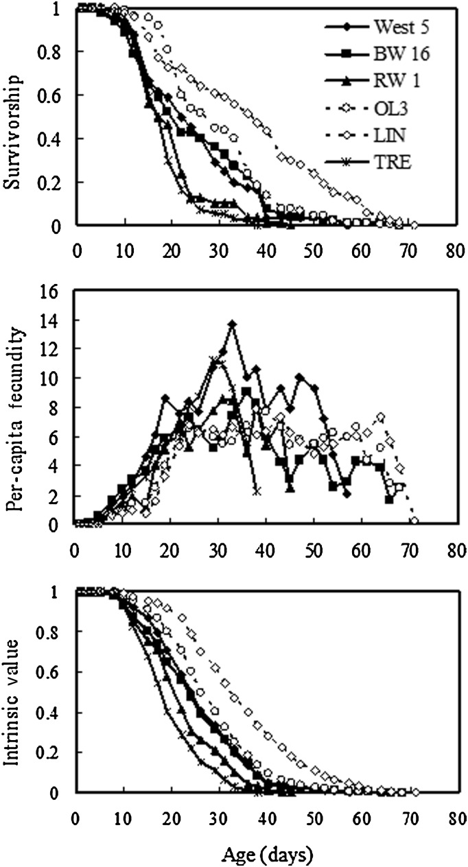 Fig. 1.