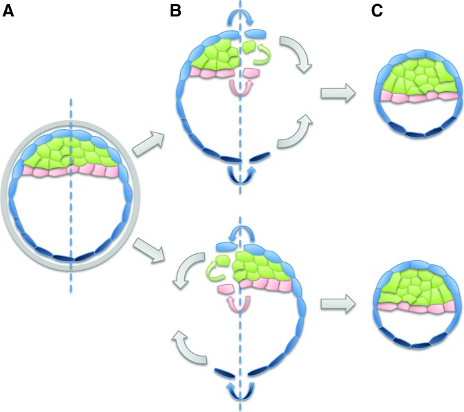 FIG. 5.