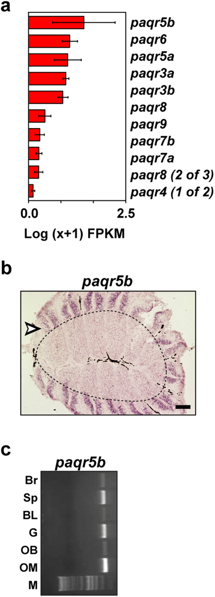 Figure 7