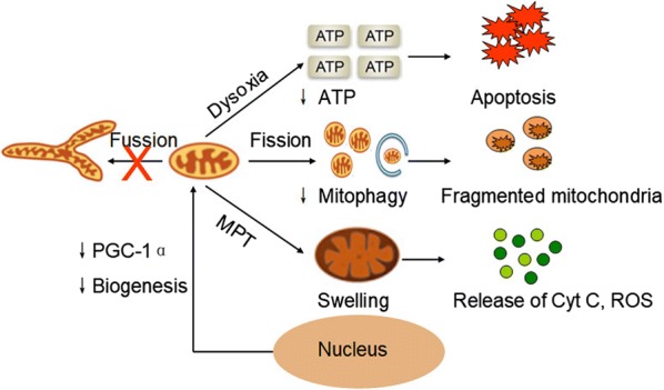 Fig. 1