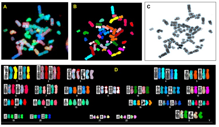 Figure 4