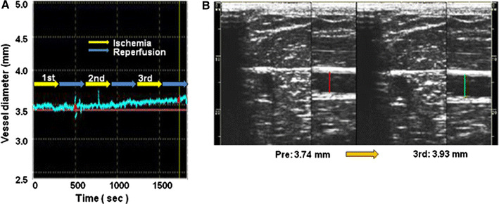 Fig. 2