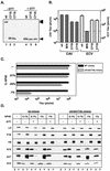 FIG. 7.