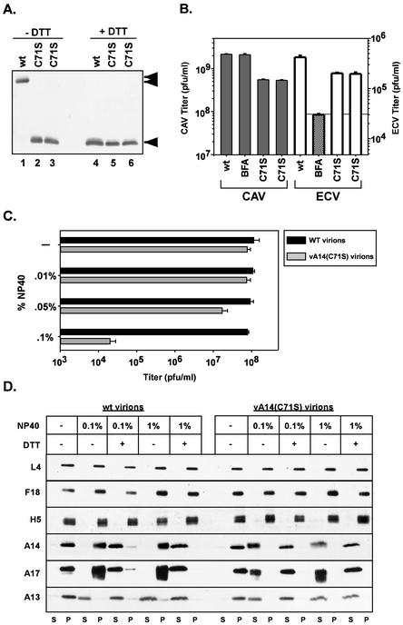 FIG. 7.