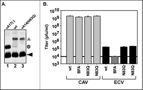 FIG. 4.