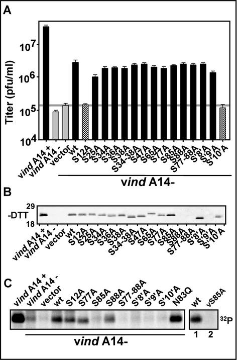 FIG. 5.