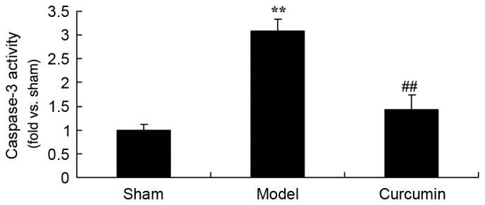 Figure 9.