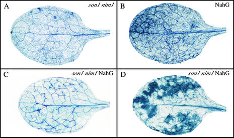 Figure 2.