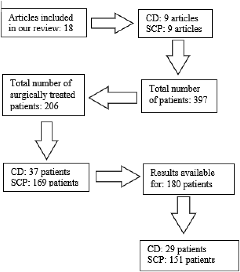 Flowchart 1