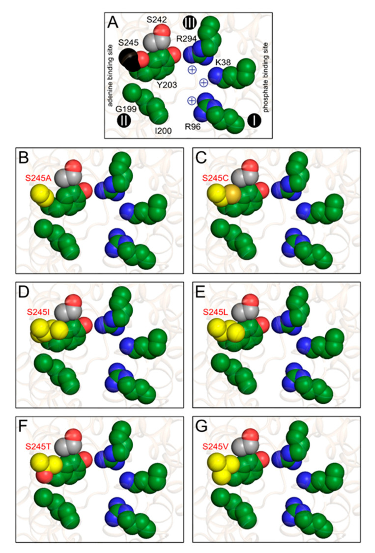 Figure 9