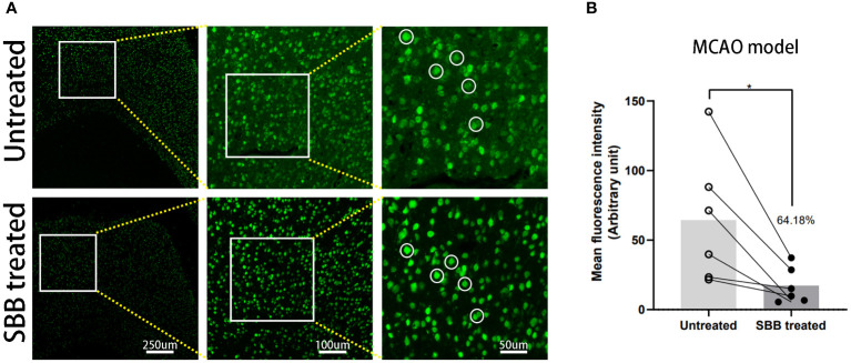 Figure 6