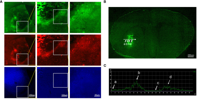 Figure 1